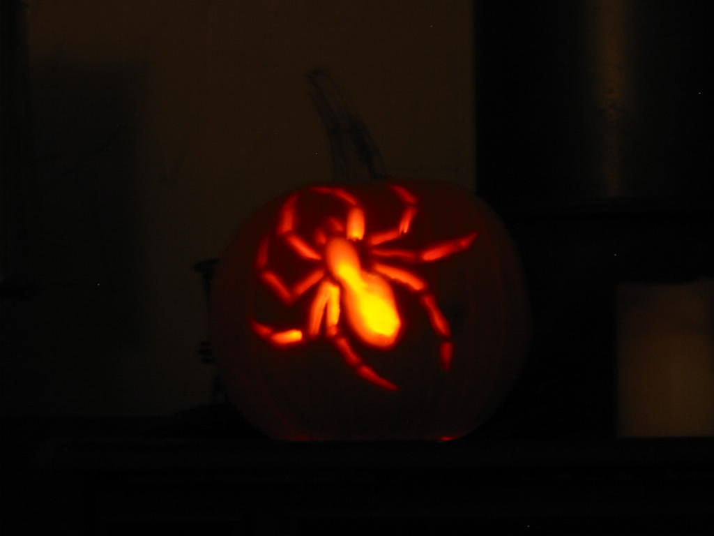 Spider
