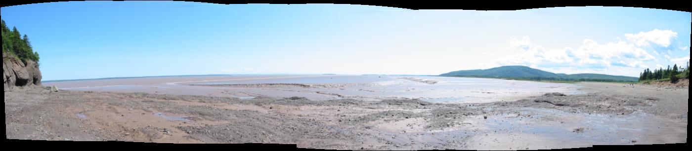 Decent Tide