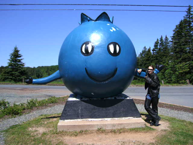 My Blueberry Man